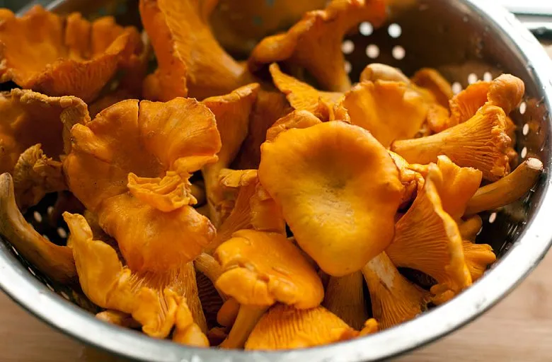 Лазанья с грибами. Этап 1